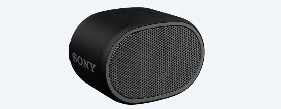 Picture of Sony SRS-XB01 Crni